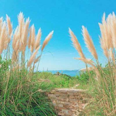 lm体育官网下载