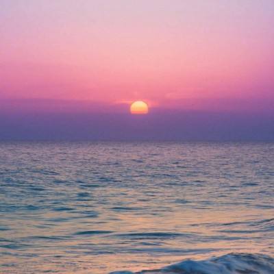 奇异果体育app下载