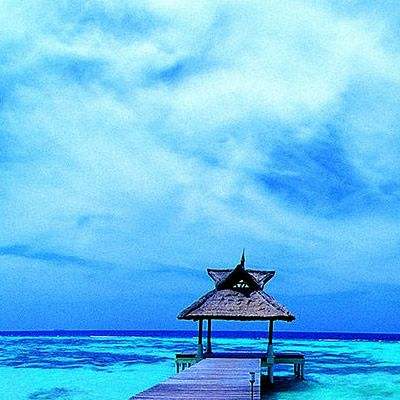 乐鱼app登录入口