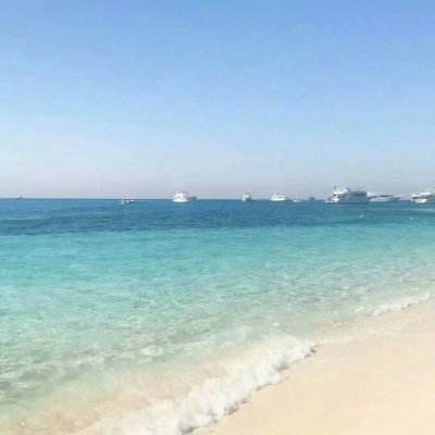 乐鱼app下载手机app下载