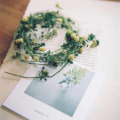 KOKapp下载手机版