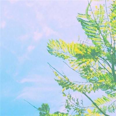 博鱼·体育中国入口